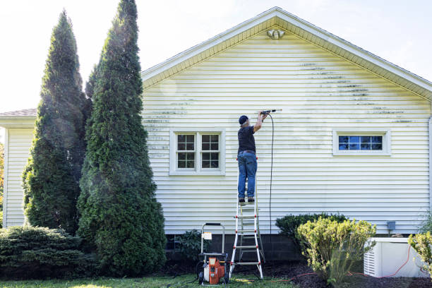 Best Boat and Dock Cleaning  in Mcrae Helena, GA